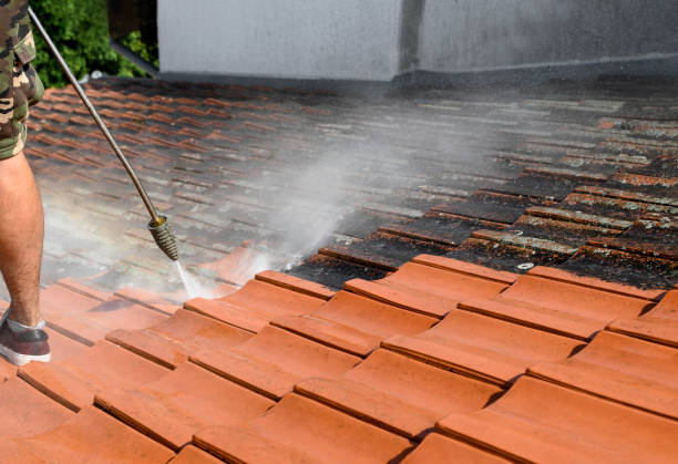 Best Deck Pressure Washing  in Holmes Beach, FL