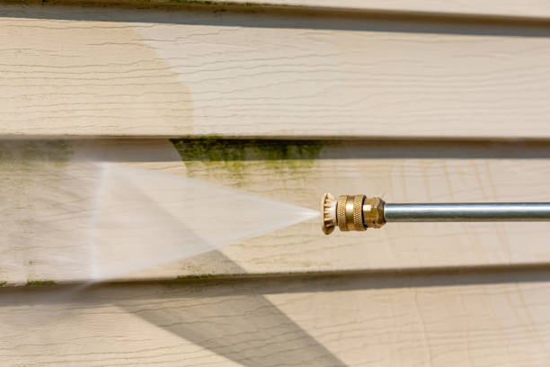 Best Local Pressure Washing Services  in Holmes Beach, FL