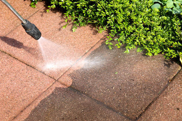 Best Pressure Washing Company Near Me  in Holmes Beach, FL